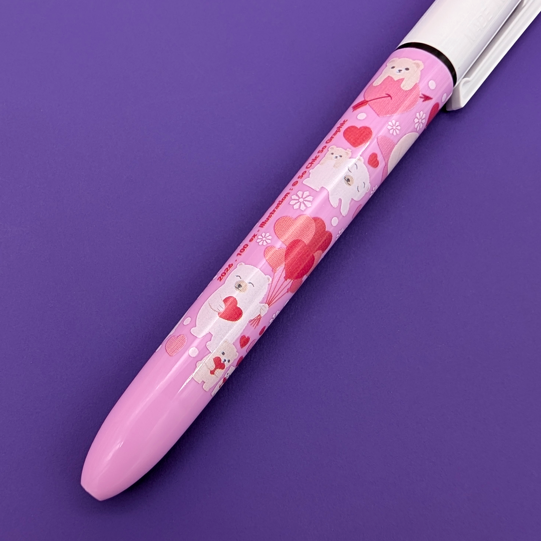 ❤️BIC® SURPRISE N°5 Saint-Valentin